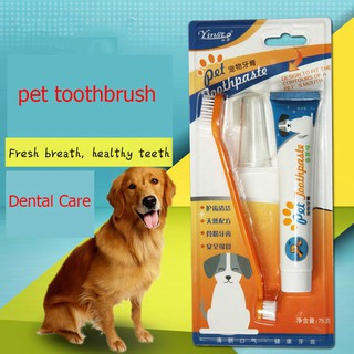 แหล่งขายและราคาชุดยาสีฟันสุนัข และสัตว์เลี้ยงอาจถูกใจคุณ