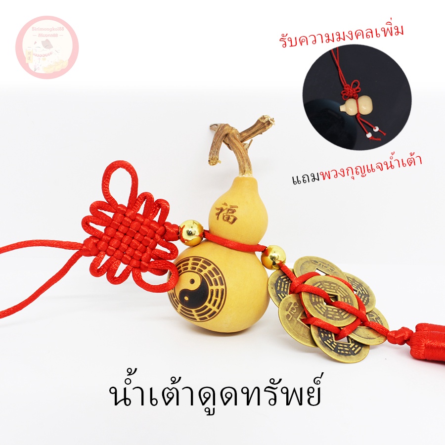 น้ำเต้าแท้ แขวน หยินหยาง พร้อมเหรียญจีน 8 เหรียญ เสริมดวง แก้ชง ฮวงจุ้ย ประตูชนกัน