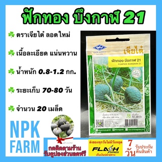 ผักซอง เจียไต๋ ฟักทอง บึงกาฬ21 ฟักทองอ่อน จำนวน 20 เมล็ด/ซอง เมล็ดพันธุ์ ลอตใหม่ เนื้อละเอียด แน่น หวาน น้ำหนัก 1.2 กก.