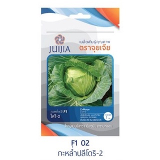 เมล็ดพันธ์ุผักสวนครัว ชุด8 (หมดอายุปี 2567) ถุงซิบล๊อค เมล็ดพันธุ์ เมล็ดผัก เมล็ดพันธุ์ผัก เมล็ดดอกไม้ เมล็ดพันธุ์ดอกไม้