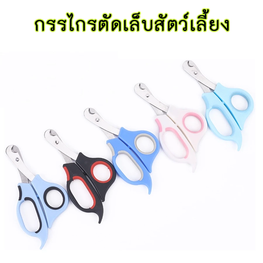 AL-181 กรรไกรตัดเล็บสัตว์เลี้ยง สุนัข หมา แมว กระต่าย ที่ตัดเล็บสัตว์เลี้ยง อุปกรณ์ตัดเล็บ Pet Nail Clipper 🔥 พร้อมส่ง 🔥