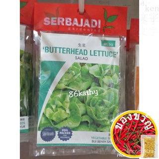 (BBS043 Seed) Serbajadi Butterhead Lettuce Salad Vegetable / Biji Benih Sayur Saladทานตะวัน/สวน/ผักกาดหอม /​​กระโปรง/เด็