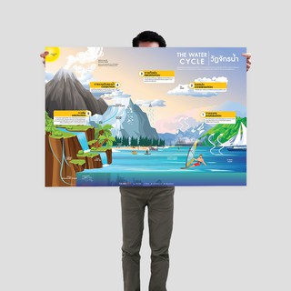 โปสเตอร์วัฏจักรน้ำ: ชายหาด The Water Cycle: Beach