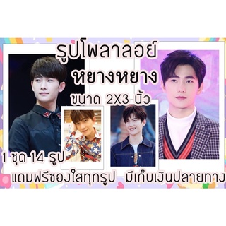 รูปโพลาลอยด์ หยางหยาง แถมฟรีซองใสทุกรูปพร้อมส่งมีเก็บเงินปลายทาง