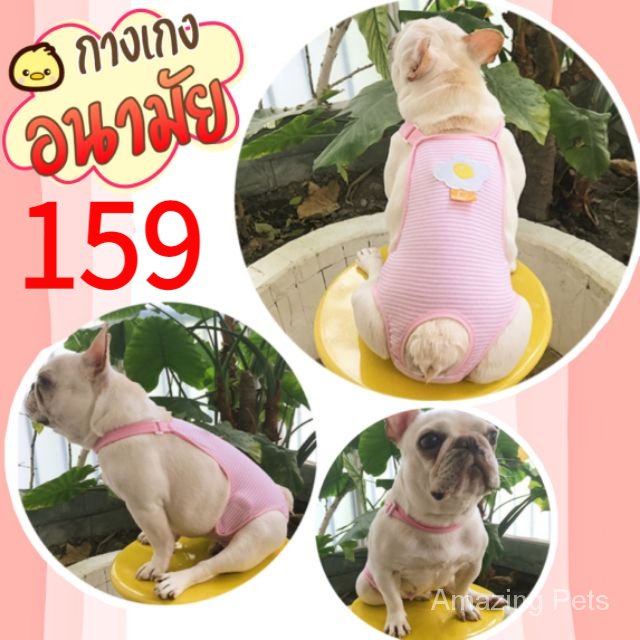 # ชุดอนามัยสุนัข #กางเกงอนามัยสุนัข #ชุดสัตว์เลี้ยง #ของใช้สุนัข #petaccessories