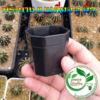 [มีโค๊ดส่วนลด60บาท]กระถาง 8 เหลี่ยม 2 นิ้ว งานดีมาก By.คิม เ…