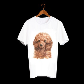 เสื้อลายหมา DPD005 poodle เสื้อยืด เสื้อยืดลายหมา เสื้อยืดสกรีนลายหมา