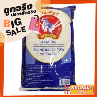 ช้างเผือก ข้าวเหนียวขาว 10% 5 กก. Royal Elephant Sticky Rice 10% 5 kg