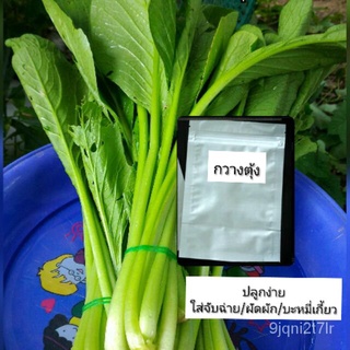 เมล็ด ขายดี/เมล็ดผักกวางตุ้ง ซอง400เมล็ด เมล็ดพันธุ์ดี เมล็ดผัก ปลูกง่าย ปลูกในกระถางได้ เมล็ดส/เมล็ด เมล็ดพันธุ์ ต้น