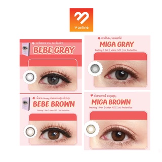 (กล่อง 0.00 ถึง -3.00 ) Lovely Lens Plus Blister รุ่น BEBE และ MIGA สี Brown Gray สีน้ำตาล สีเทา คอนแทคเลนส์ contactlens