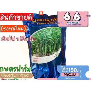 ผักบุ้งใบไผ่ เรียวไผ่ เจียไต๋ (1kg)ใช้เพาะต้นอ่อนได้ดี