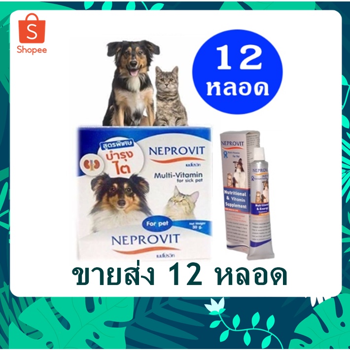 12 หลอด Neprovit  เจล สัตว์ป่วยที่มีค่าไตสูง สุนัข แมวโรคไต เจลอาหารเสริม เพิ่มพลังงาน และสารอาหาร 30 g.