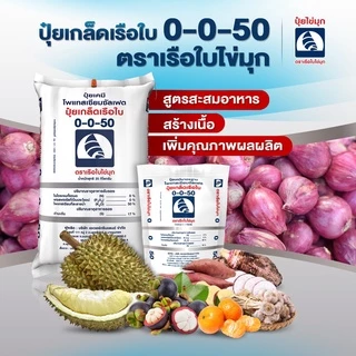 ปุ๋ยเกล็ดทางใบ คุณภาพสูง💥 สูตร 0-0-50 ตราเรือใบไข่มุก (1 กก.) 💥สำหรับสะสมอาหาร ขยายผล เร่งสี เร่งหวาน เร่งน้ำหนัก เพิ่