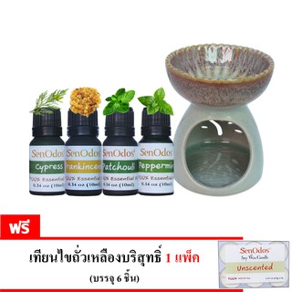 SenOdos ชุดเซ็ต น้ำมัน + เตาเผา น้ำมันหอมระเหย (ชุดกลิ่นสำหรับผู้ชาย) Essential Oil For Men Set1 10 ml x 4 กลิ่น