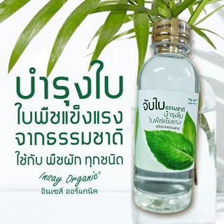 จับใบธรรมชาติ INSAY ORGANIC (250มล.)สารจับใบ ผสม ซิลิคอน ซิลิก้า โพรแทสเซียม ที่พืชต้องการ บำรุงใบ ลดการเกิดแมลง