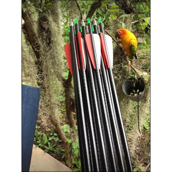 x4 (ราคาต่อ4ลูก) ยี่ห้อPOTENZA รุ่น Carbon rolled 30” spine 500 ลูกธนู Arrows arrow ยิงธนู