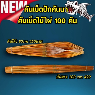 คันเบ็ดปักคันนา คันเบ็ดไม้ไผ่ 100คัน พร้อมส่ง ส่งฟรี มีบริการเก็บเงินปลายทาง เบ็ดตกปลา คันเบ็ดปลาช่อนเบ็ดปักเบ็ดนา ตกปลา