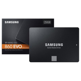 SAMSUNG SSD 250 GB 860 EVO (MZ-76E250BW)