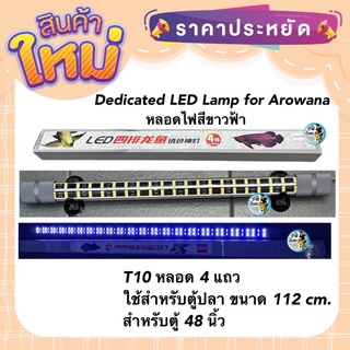 Dedicated LED Lamp for Arowana หลอดไฟสีขาวฟ้า  T10 หลอด 4 แถวใช้สำหรับตู้ปลา ขนาด 112 cm. สำหรับตู้ 48 นิ้ว