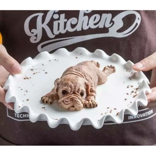 บล็อคทำขนมสุนัข 5DPrinted silicone dog treats