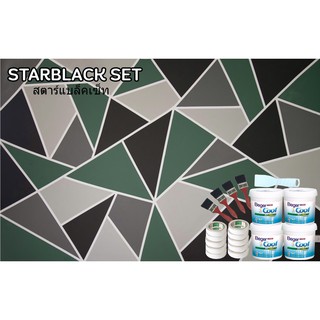 BOX SET STARBLACK SET SIZE M สำหรับผนังขนาด 60-80 ตรม. สีทาบ้าน แต่งผนังบ้าน ภายใน ฟิล์มด้าน