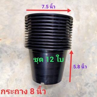 กระถางต้นไม้ 8” (ขายยกโหล 12 ใบ) กระถางปลูกบอน กระถางพลาสติก 8” กระถางดำ 8 นิ้ว กระถางดอกไม้ บอนด่าง กระถางปลูกต้นไม้