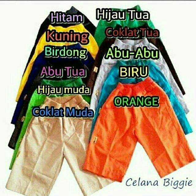 ขายปลีก RYSYA SZ 357 SMALL BIGGIE CELPEN