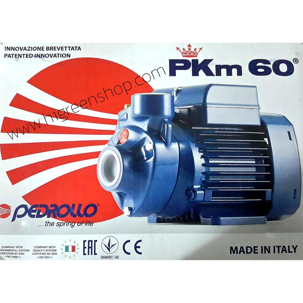 ปั๊มน้ำใบพัดเฟือง Pedrollo รุ่น PKM 60 ปั๊มน้ำคุณภาพสูง จากอิตาลี