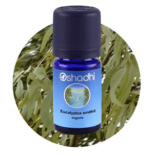 Oshadhi Eucalyptus Smithii Organic Essential Oil (5 ml)