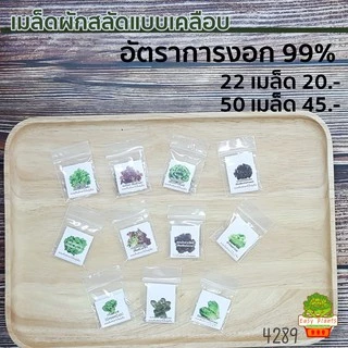 เมล็ดพันธุ์ผักสลัดเคลือบ ปลูกง่าย งอกเร็ว 99% ปลูกในบ้าน ไฮโดรโปนิกส์ ผักปลอดสาร กรีนโอ๊ค ผักคอส