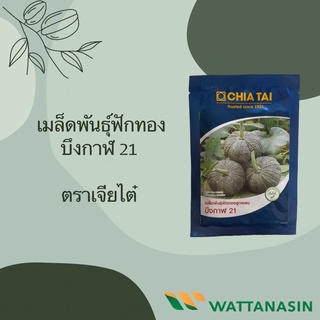 เมล็ดพันธุ์ฟักทองบึงกาฬ 20 กรัม ตราเจียไต๋