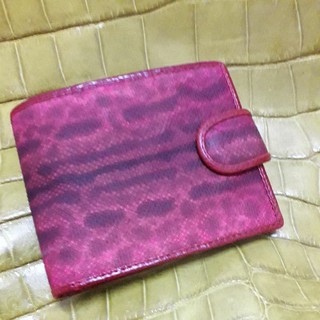 snake bifold wallet กระเป๋าหนังงูงวงช้างแท้