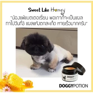 Doggy Potion Healing Balm ขนาด 20g