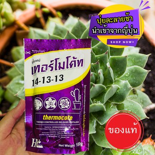 💥เทอร์โมโค้ท 14-13-13 Thermocote 💥 สำหรับเเคคตัส กล้วยไม้ กุหลาบไม้ดอกไม้ประดับทุกชนิด 🌵ปุ๋ยละลายช้าจากญี่ปุ่น 100กรัม