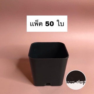 กระถางต้นไม้พลาสติก 2 นิ้ว เหลี่ยม แพ็ค 50 ใบ ดำ กระถางต้นไม้พลาสติก กระถางกระบองเพชร กระถางแคคตัส กระถางใส่ต้นไม้มงคล