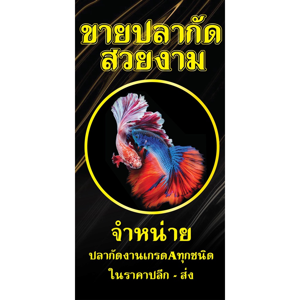 ป้ายไวนิลขายปลากัด ไวนิล แนวตั้ง  พิมพ์ 1 ด้าน เจาะรูตาไก่ฟรี 4 มุม   ลูกค้าเลือกขนาดได้ที่ตัวเลือกส