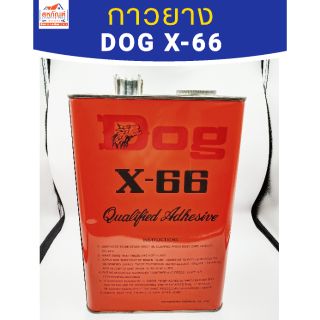 กาวยาง Dog X-66 แกลลอน ตราหมา กาวสารพัดประโยชน์ กาว หมา ติดหนัง รองเท้า ผ้าใบ ซ่อม รองเท้า กระเบื้องยาง กาวหมา กาวหัวหมา