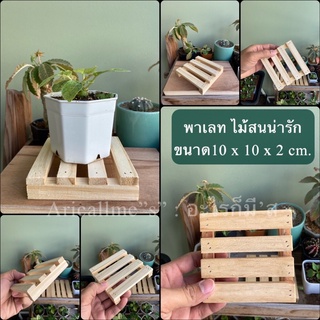 พาเลท ไม้สนน่ารัก ขนาด10 x 10 x 2 cm.