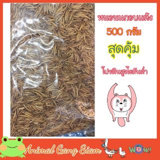 หนอนนกอบเเห้ง 500 กรัม โปรตีนสูงไขมันต่ำ สำหรับสัตว์เลี้ยง