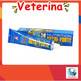 Nutri-forte gel นิวตริฟอท เจลให้พลังงาน สัตว์เลี้ยง เจลสัตว์ป่วย วิตามินบำรุง สุนัข แมว 30 g