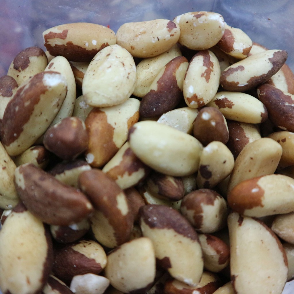 บลาซิลนัทอบธรรมชาติ Brazil Nut Roasted เกรด A จาก Triple Trees