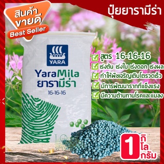 ปุ๋ยยารามีร่า สูตร 16-16-16 🥑 1 กิโล ปุ๋ยเคมี เร่งการเจริญเติบโตของต้น ใบ ดอก และผล อย่างสม่ำเสมอ ปุ๋ยใส่ต้นไม้