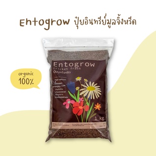 Entogrow™ | ปุ๋ยอินทรีย์ที่ยั่งยืนจากมูลจิ้งหรีด organic fertiliser - cricket frass