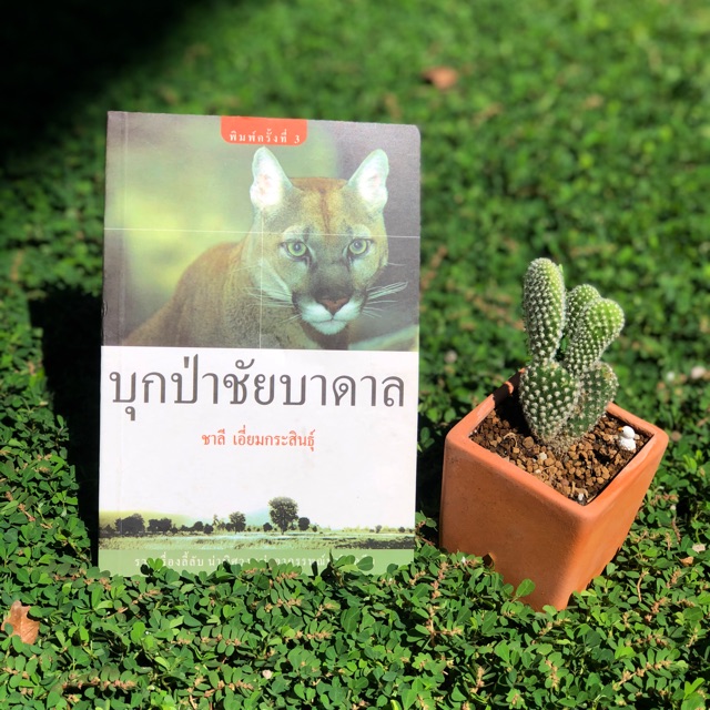 หนังสือบุกป่าชัยบาดาล โดย ชาลี เอี่ยมกระสินธุ์
