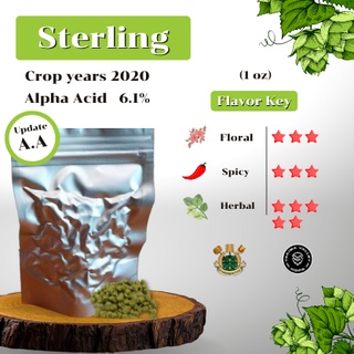 Sterling Hops (1oz) (บรรจุด้วยระบบสูญญากาศ)