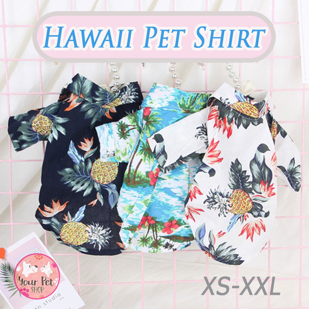 Hawaii Pet Shirt เสื้อหมา เสื้อแมว เสื้อสงกรานต์ มีให้เลือก XS-XXL สก็อตติช โฟลด์ เปอร์เซีย ฮาวาย