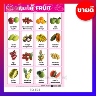 โปสเตอร์กระดาษ ผลไม้ Fruits EQ-504 ภาพโปสเตอร์ เรียนรู้คำศัพท์ ภาษาอังกฤษ / ภาษาไทย 2 ภาษา