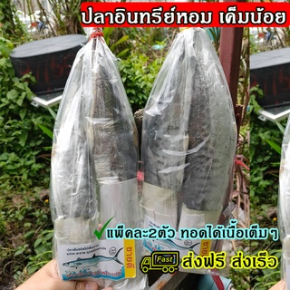 ปลาอินทรีย์เค็ม 450-500ก. 2ตัว เนื้อแน่น สดใหม่ ทอดไม่เละ ทอดแล้วยำอร่อย ปลาอินทรีย์หอม ปลาอินทรีย์ตัว