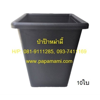 (10-25ใบ) papamami กระถางดำ เหลี่ยม 7 นิ้ว ทรงสูง กระถางพลาสติก กระถางแคคตัส กระถางปลูกตอ กระถางกระบองเพชร กระถางดำ