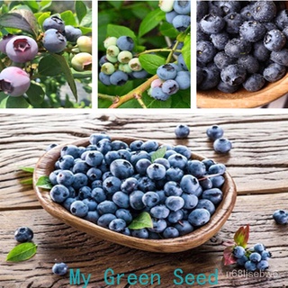 ถูก ใหม่ สายพันธุ์บลูเบอร์รี่（blueberry seeds）เมล็ดพันธุ์คุณภาพสูง 30 เมล็ด ลดราคา ต้นไม้ผลไม้ ผลไม้หวาน QKYG